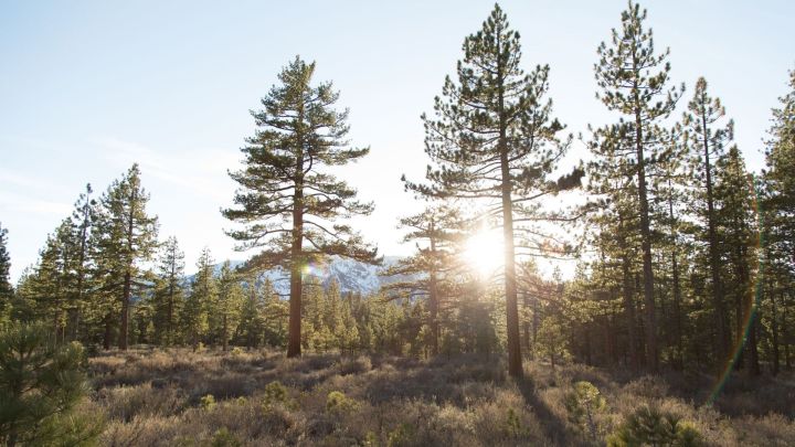 Finding God in the&nbsp;Wilderness