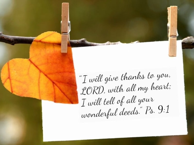 Attitude of Gratitude