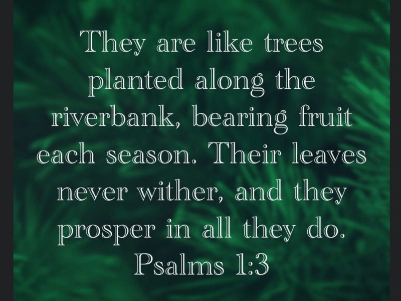 How deep are you&nbsp;planted?